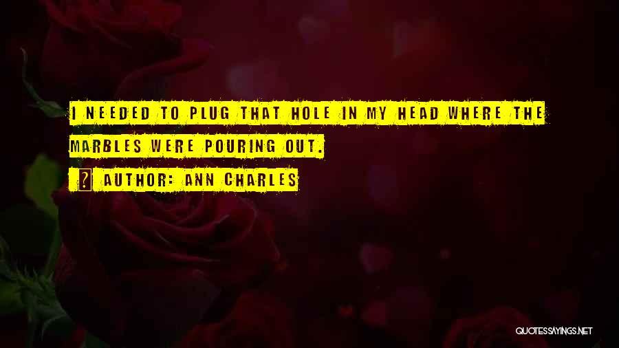 Plug Quotes By Ann Charles