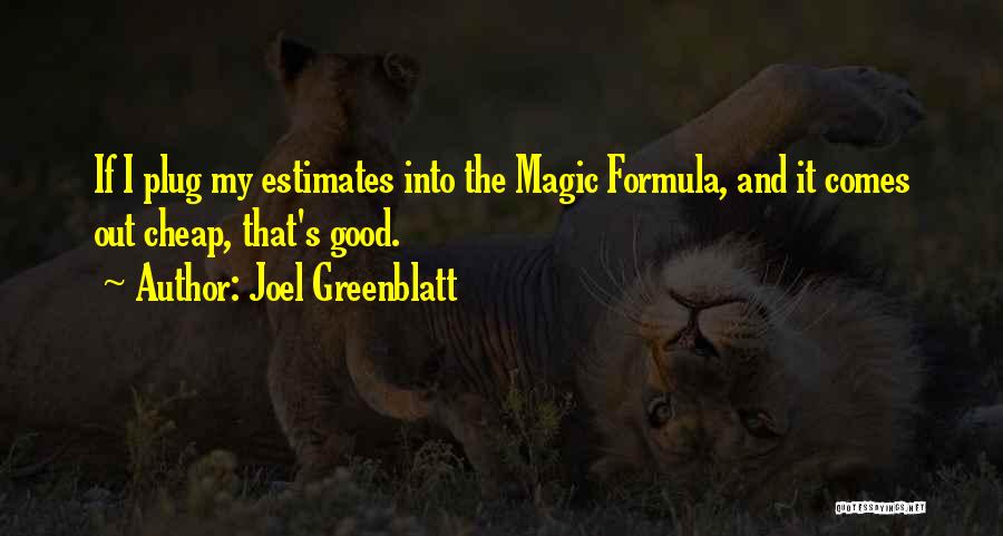 Plug Quotes By Joel Greenblatt