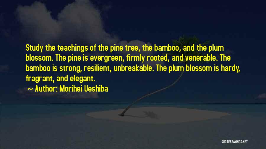 Plum Blossom Quotes By Morihei Ueshiba