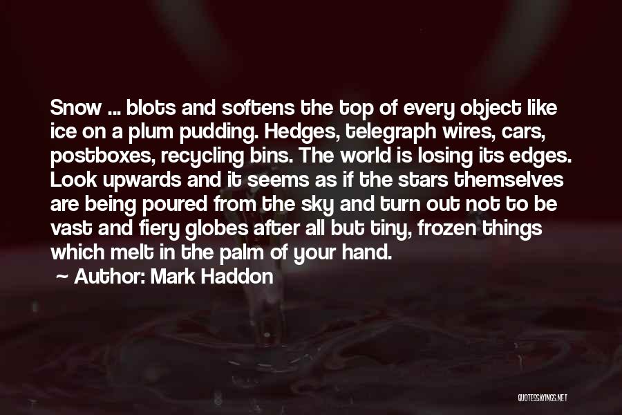 Plum Pudding Quotes By Mark Haddon