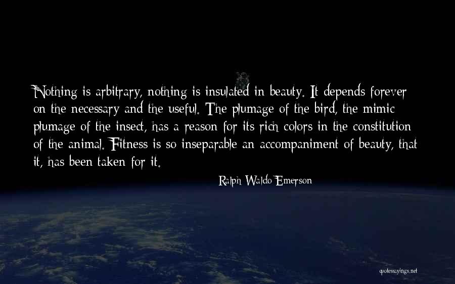 Plumage Bird Quotes By Ralph Waldo Emerson Plumage Bird Quotes By Ralph Waldo Emerson