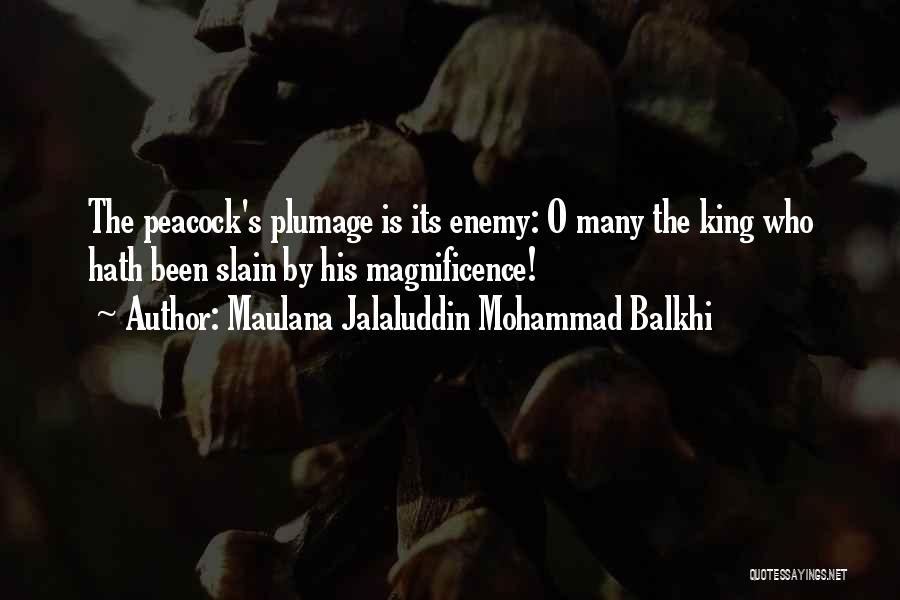 Plumage Quotes By Maulana Jalaluddin Mohammad Balkhi