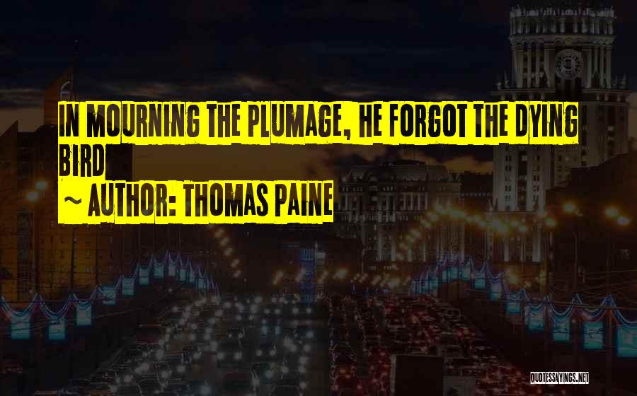 Plumage Quotes By Thomas Paine