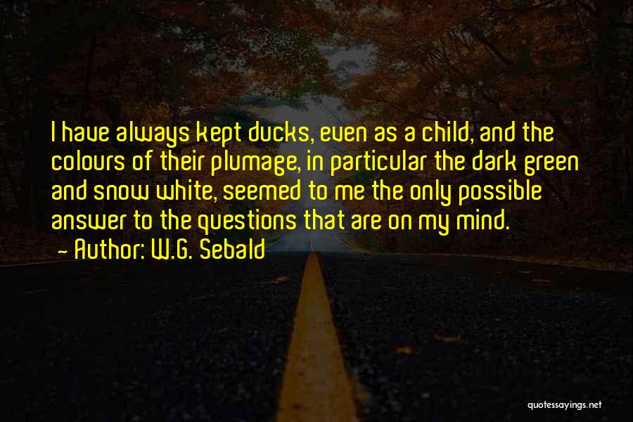 Plumage Quotes By W.G. Sebald