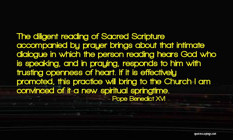 Plumas National Forest Quotes By Pope Benedict XVI Plumas National Forest Quotes By Pope Benedict XVI