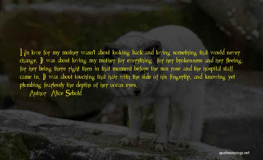 Plumbing Quotes By Alice Sebold
