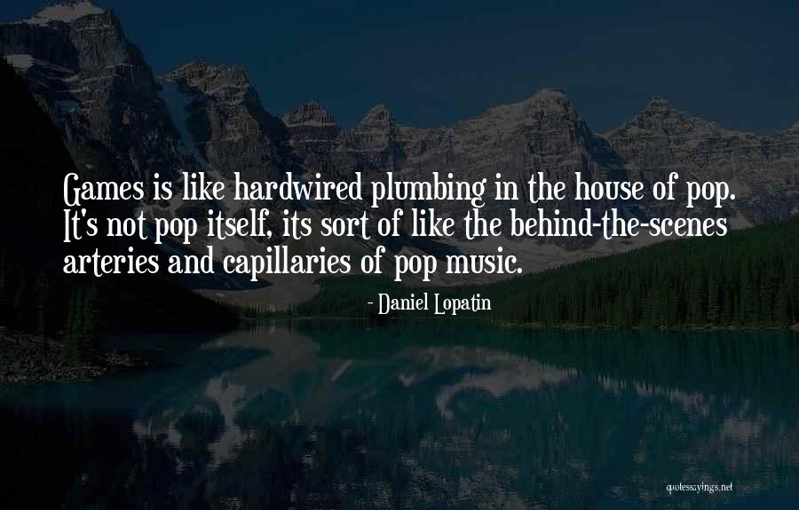 Plumbing Quotes By Daniel Lopatin