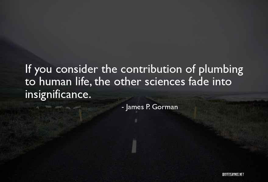 Plumbing Quotes By James P. Gorman