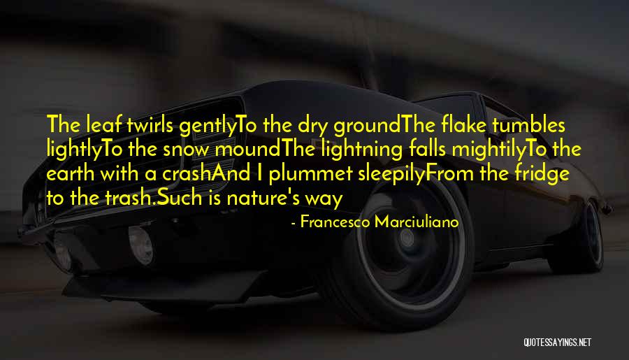Plummet Quotes By Francesco Marciuliano Plummet Quotes By Francesco Marciuliano