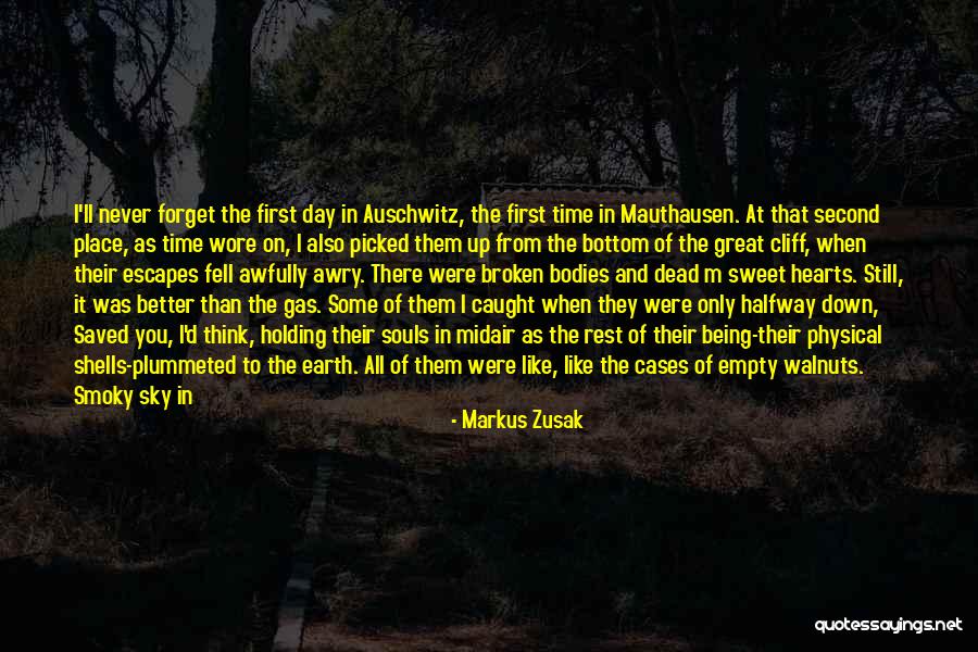 Plummeted Quotes By Markus Zusak Plummeted Quotes By Markus Zusak