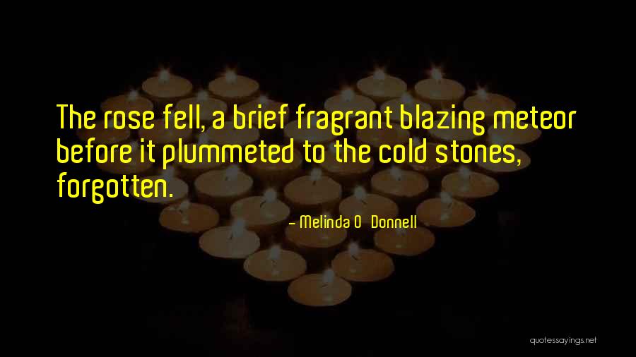 Plummeted Quotes By Melinda O'Donnell Plummeted Quotes By Melinda O'Donnell