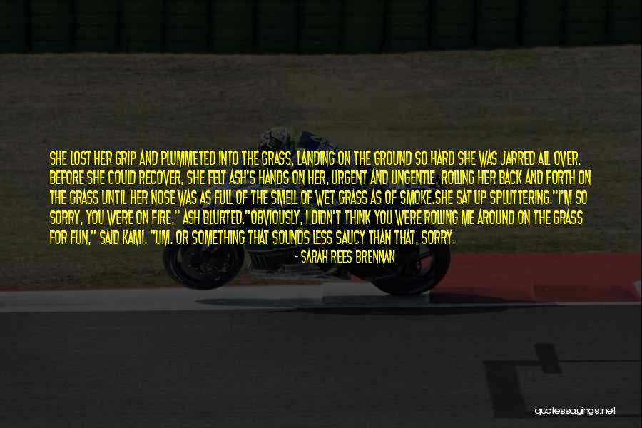 Plummeted Quotes By Sarah Rees Brennan Plummeted Quotes By Sarah Rees Brennan