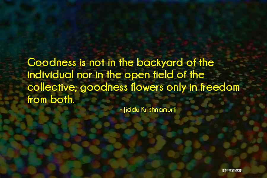 Plummets Native American Quotes By Jiddu Krishnamurti Plummets Native American Quotes By Jiddu Krishnamurti