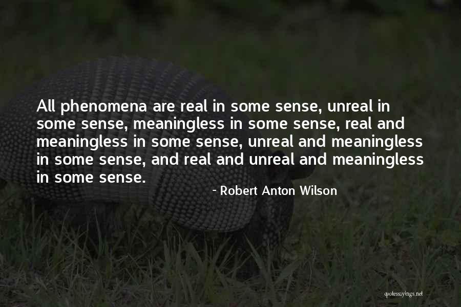 Plundering Time Quotes By Robert Anton Wilson Plundering Time Quotes By Robert Anton Wilson