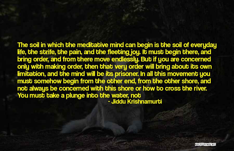 Plunge In Life Quotes By Jiddu Krishnamurti Plunge In Life Quotes By Jiddu Krishnamurti