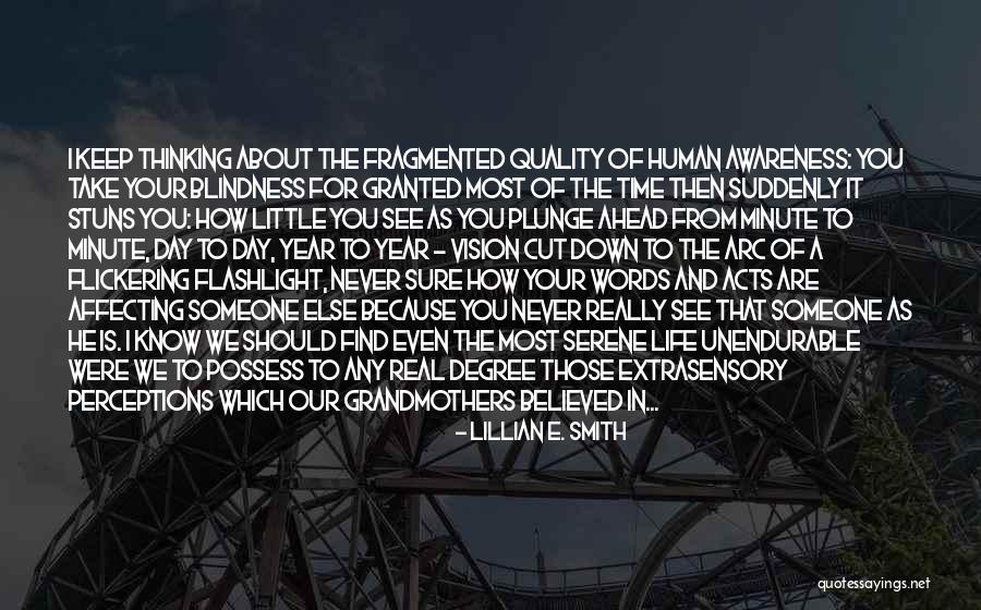 Plunge In Life Quotes By Lillian E. Smith Plunge In Life Quotes By Lillian E. Smith