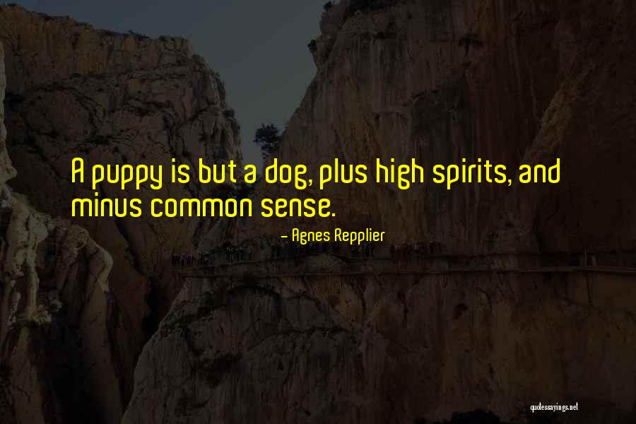 Plus And Minus Quotes By Agnes Repplier Plus And Minus Quotes By Agnes Repplier