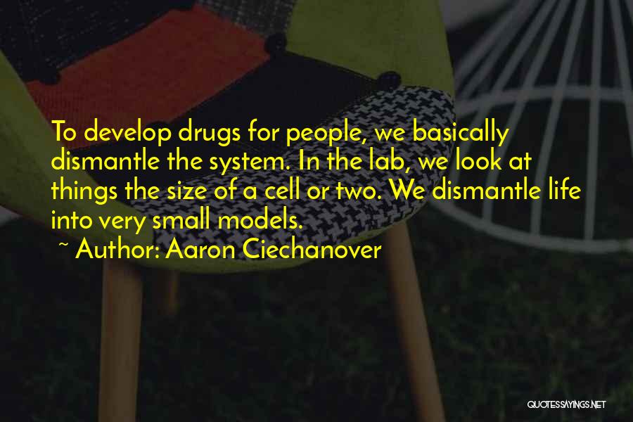 Plus Size Models Quotes By Aaron Ciechanover