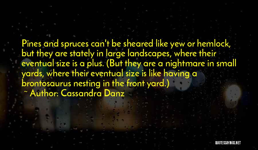 Plus Size Quotes By Cassandra Danz