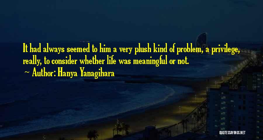 Plush Quotes By Hanya Yanagihara