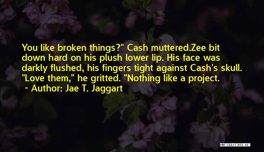 Plush Quotes By Jae T. Jaggart