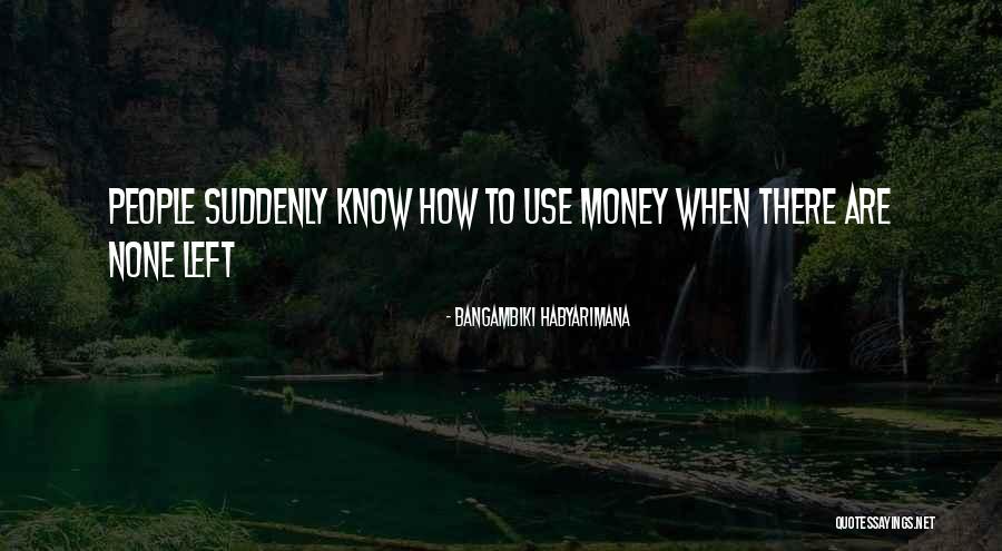 Pluska Quotes By Bangambiki Habyarimana Pluska Quotes By Bangambiki Habyarimana