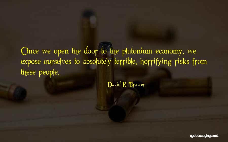 Plutonium Quotes By David R. Brower Plutonium Quotes By David R. Brower