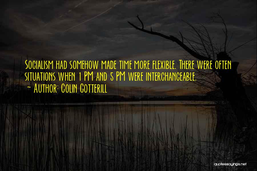 Pm Quotes By Colin Cotterill