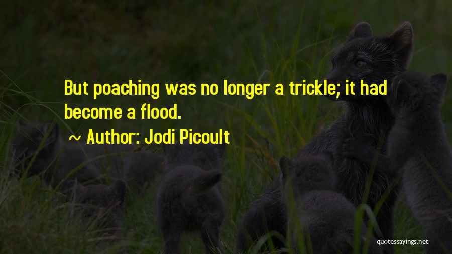 Poaching Quotes By Jodi Picoult