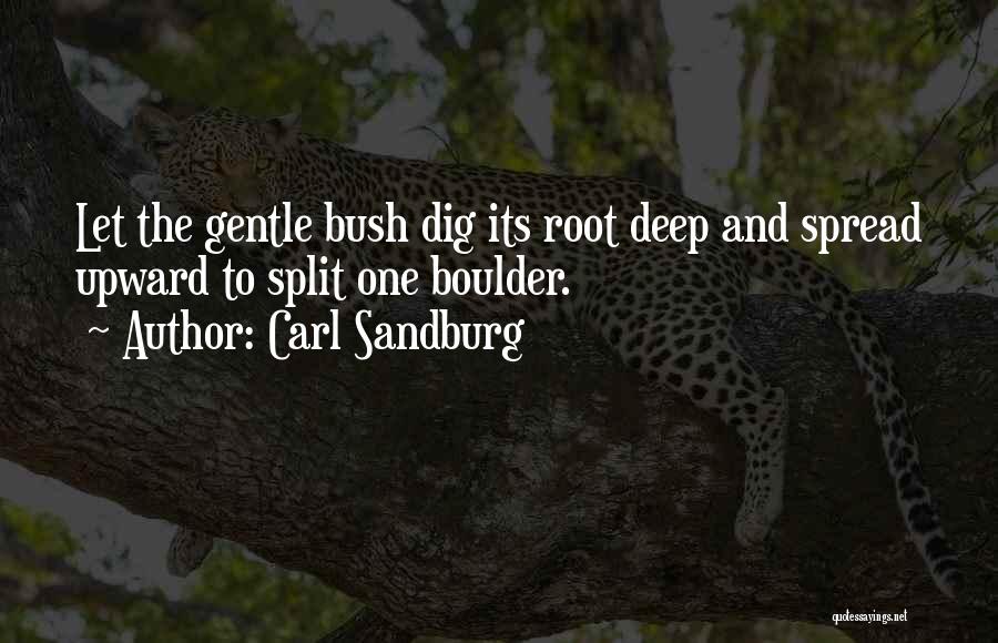 Pobblespoot Quotes By Carl Sandburg