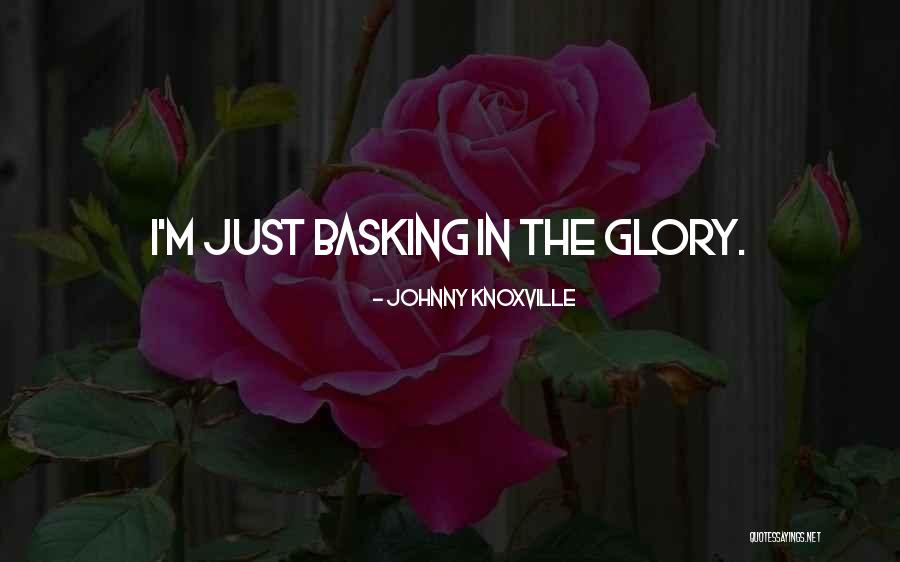Pochette Louis Quotes By Johnny Knoxville Pochette Louis Quotes By Johnny Knoxville