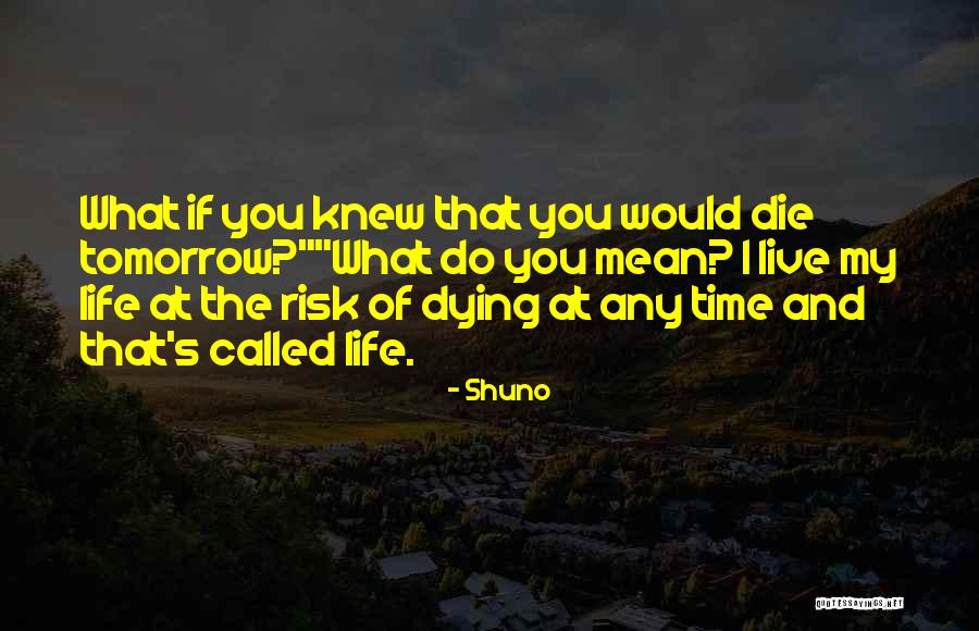 Pocinjem Quotes By Shuno Pocinjem Quotes By Shuno
