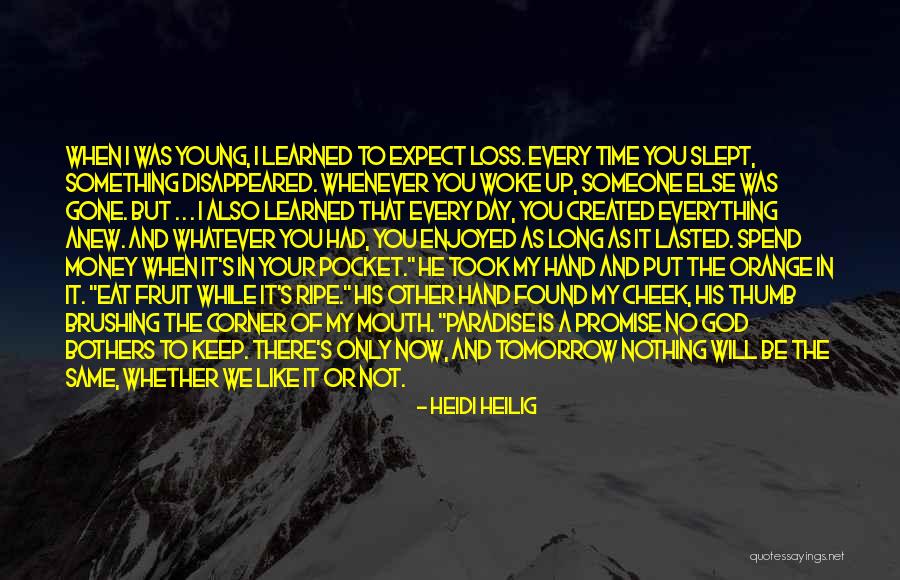 Pocket The Money Quotes By Heidi Heilig Pocket The Money Quotes By Heidi Heilig