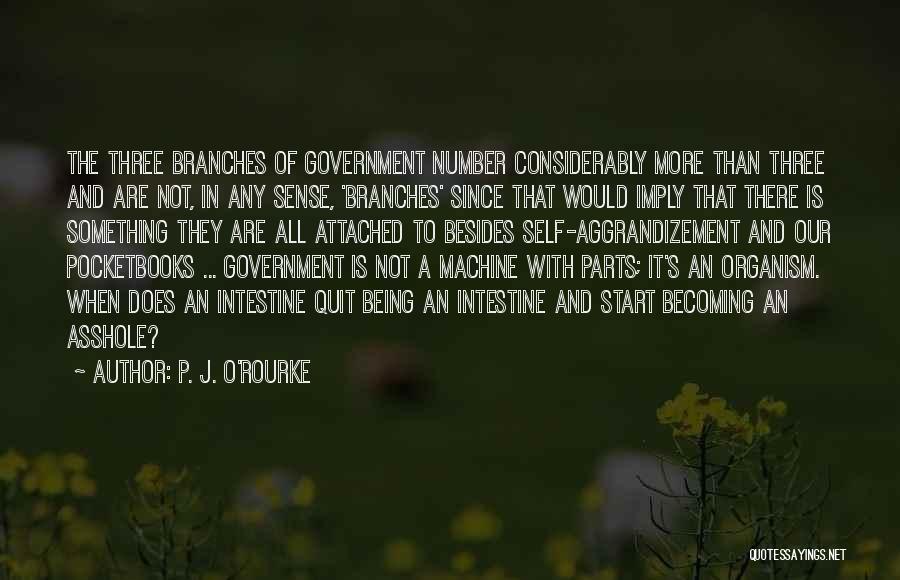 Pocketbooks Quotes By P. J. O'Rourke