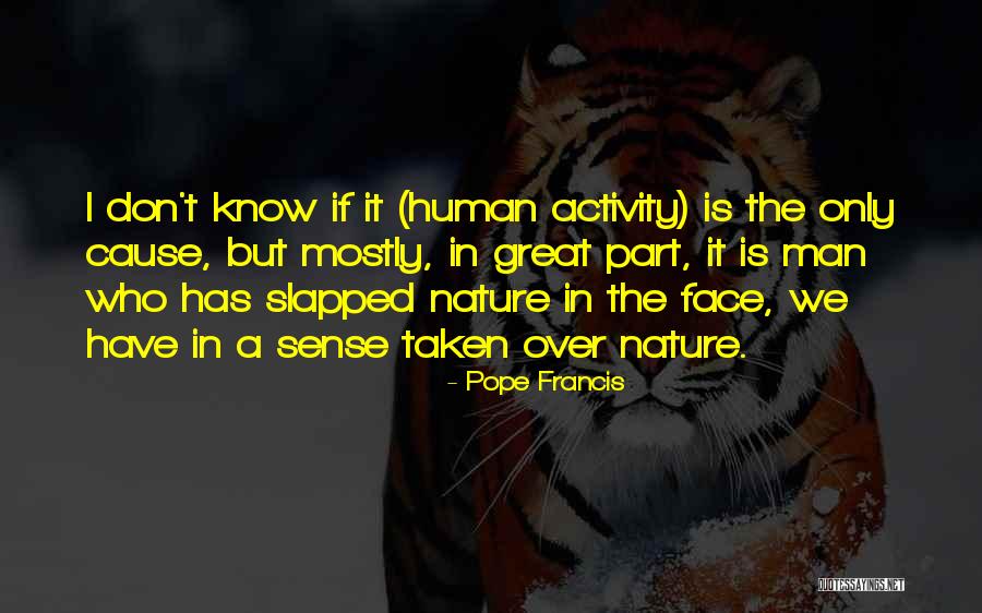 Pockmarks Scars Quotes By Pope Francis Pockmarks Scars Quotes By Pope Francis