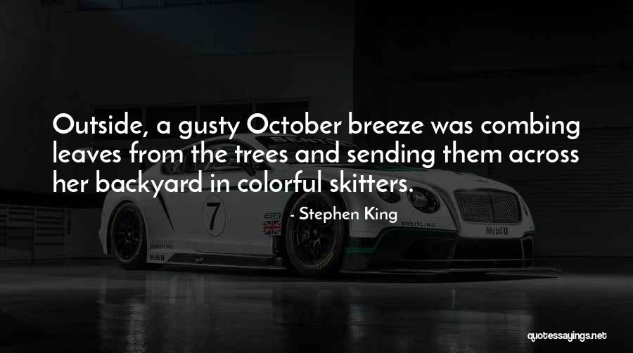 Pockmarks Scars Quotes By Stephen King Pockmarks Scars Quotes By Stephen King