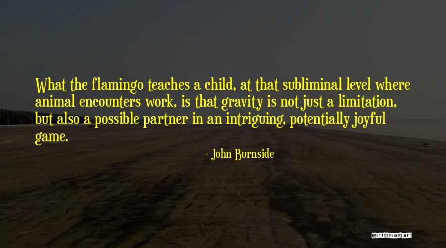 Podgy Mobile Quotes By John Burnside Podgy Mobile Quotes By John Burnside