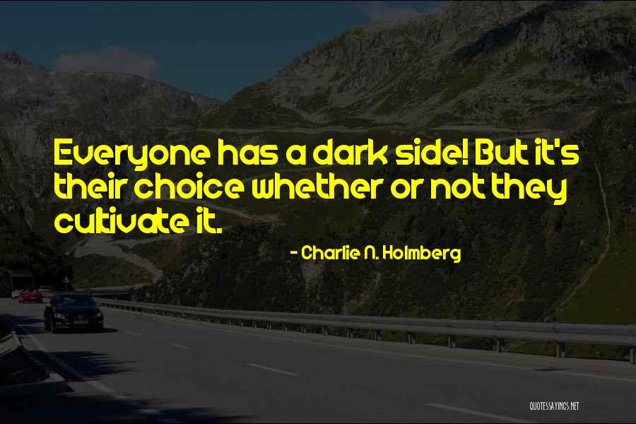Podilata Cube Quotes By Charlie N. Holmberg Podilata Cube Quotes By Charlie N. Holmberg