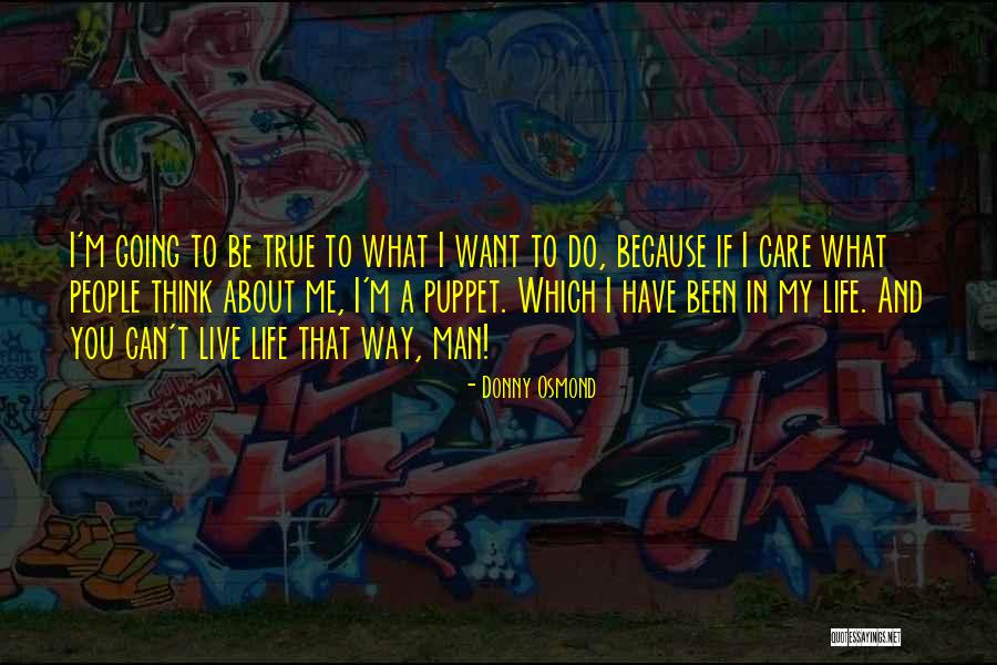 Podloga Quotes By Donny Osmond Podloga Quotes By Donny Osmond