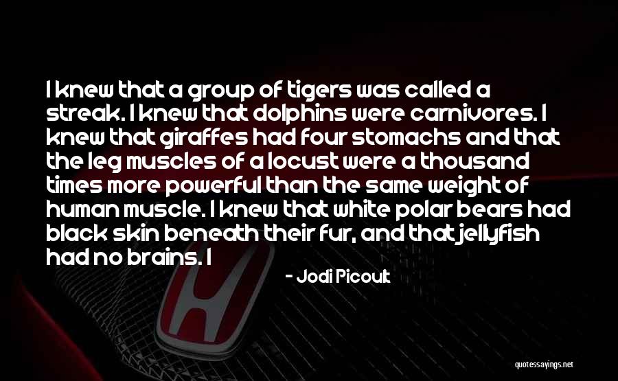 Podobne Quotes By Jodi Picoult Podobne Quotes By Jodi Picoult