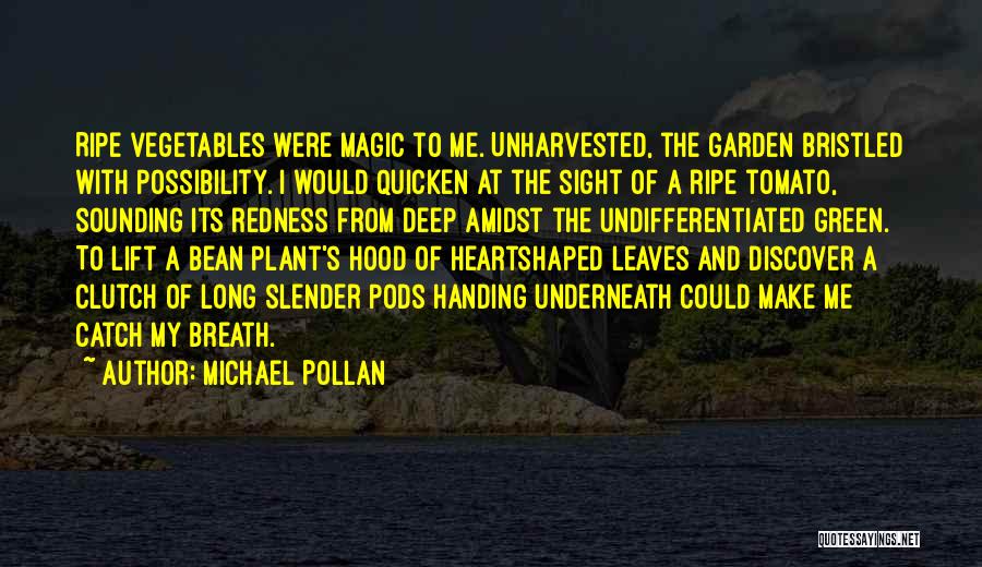 Pods Quotes By Michael Pollan
