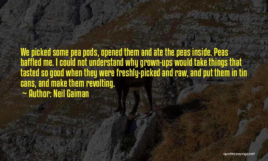 Pods Quotes By Neil Gaiman