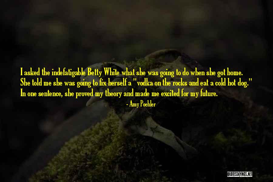 Poehler Amy Quotes By Amy Poehler Poehler Amy Quotes By Amy Poehler