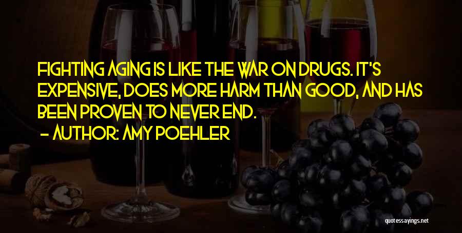 Poehler Quotes By Amy Poehler