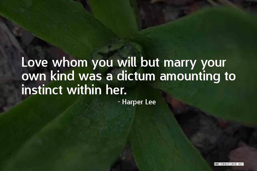Poems About Ingratitude Quotes By Harper Lee Poems About Ingratitude Quotes By Harper Lee