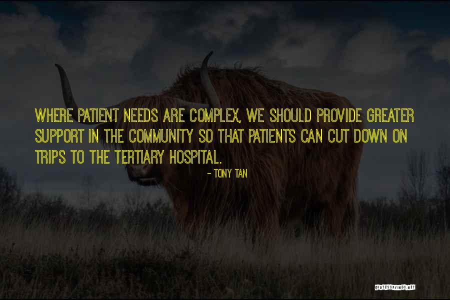 Poenisch Park Quotes By Tony Tan Poenisch Park Quotes By Tony Tan