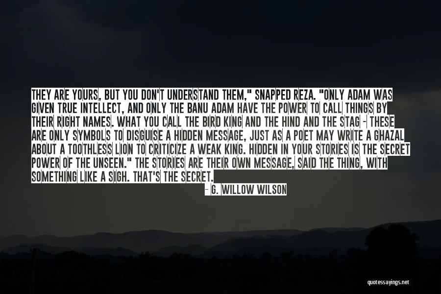 Poet King Quotes By G. Willow Wilson Poet King Quotes By G. Willow Wilson