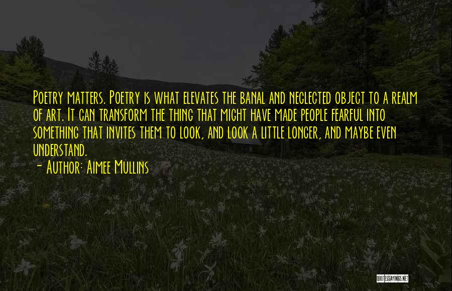 Poetry And Art Quotes By Aimee Mullins