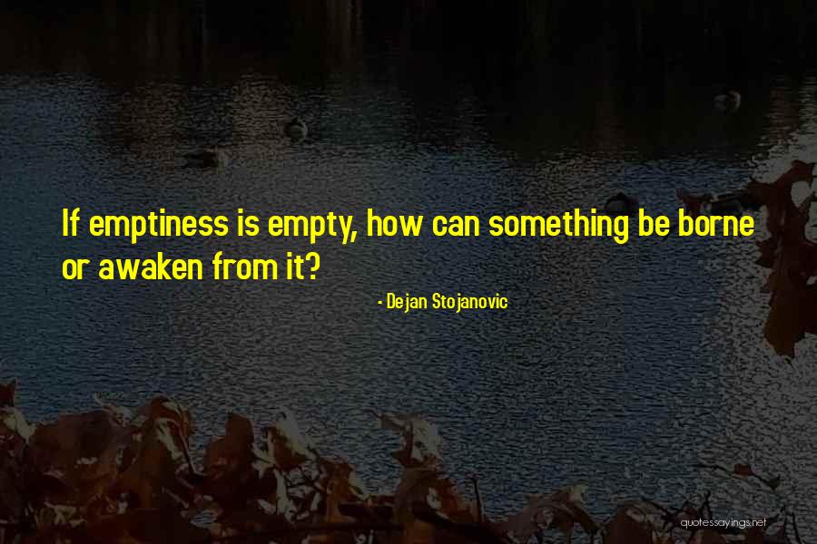 Poetry And Literature Quotes By Dejan Stojanovic