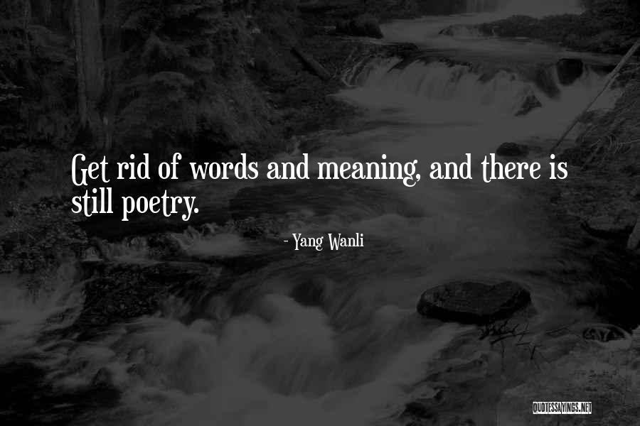 Poetry Is Quotes By Yang Wanli